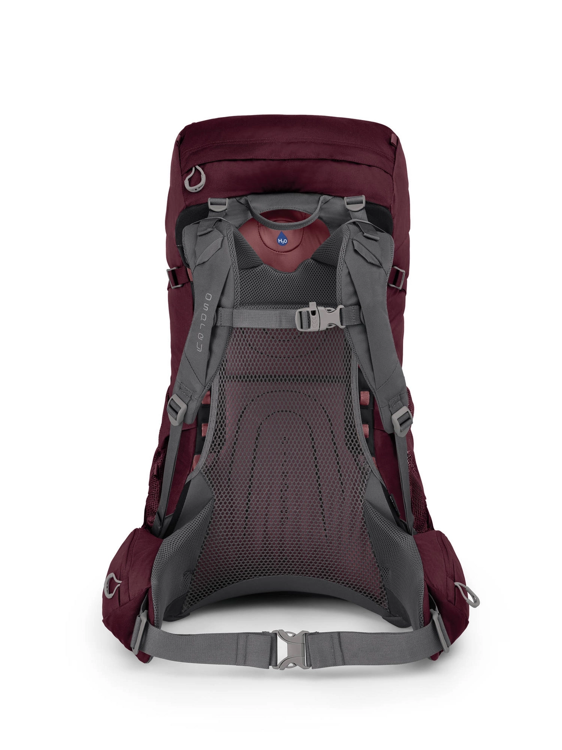 Backpack Osprey Renn 50 Aurora Purple 2 Backpack Osprey Renn 50 Aurora Purple - Afbeelding 2