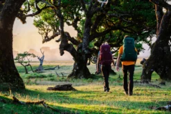 Backpack Osprey Rook 65 Black 13 Backpack Osprey Rook 65 Black -Osprey 2 Rook60 Renn60 Hero 02 web