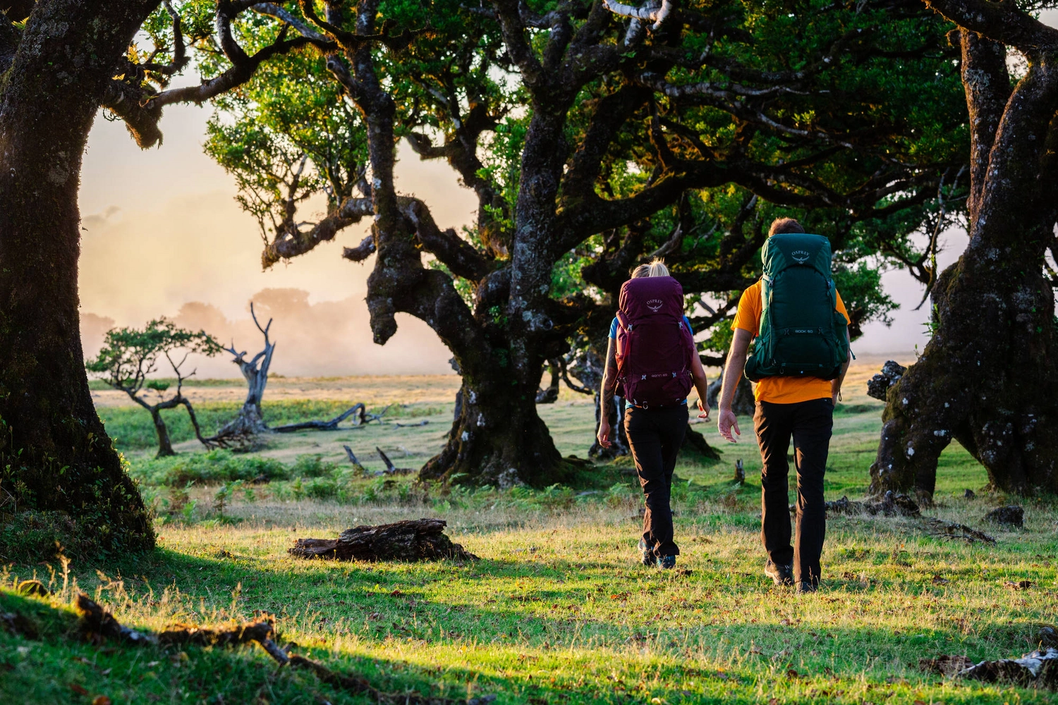 Backpack Osprey Rook 65 Black 5 Backpack Osprey Rook 65 Black - Afbeelding 5