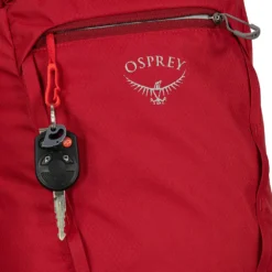Draagtas Osprey Daylite Tote Pack Wave Blue -Osprey 3 0142 daylitecinch s21 detail1 cosmicred 4