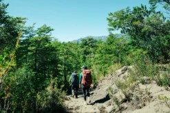 Backpack Osprey Women Fairview Trek 50 Zircon Red -Osprey 5 f22 fairview20trek20pack205020zircon20red20o s 10003329 farpoint20trek20pack205520muted20space20blue20o s 10003693 samrouda exp 4 10 24 002