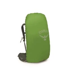 Osprey Kestrel 48 L/XL Bonsai Green -Osprey image 102