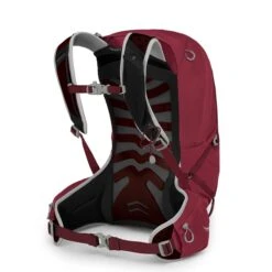 Osprey Talon 22 Backpack L/XL Cosmic Red -Osprey image 1105