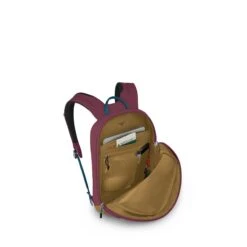 Osprey Arcane Small Day Allium Red/brindle Brown -Osprey image 1554