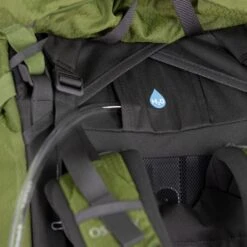 Osprey Aether 55 Backpack L/XL Mustard Green -Osprey image 450