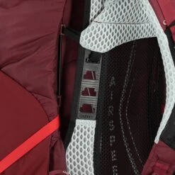 Osprey Aura AG LT 65 WM/L Antidote Purple -Osprey image 464