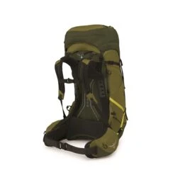 Osprey Atmos AG LT 50 S/M Scenic Valley/green Peppercorn -Osprey image 714