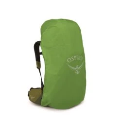 Osprey Atmos AG LT 50 S/M Scenic Valley/green Peppercorn -Osprey image 715