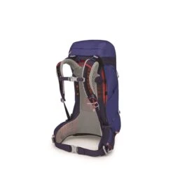 Osprey Sirrus 26 Backpack Blueberry -Osprey image 809