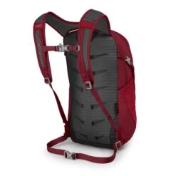 Osprey Daylite Backpack Cosmic Red -Osprey image 906