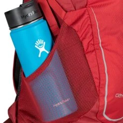 Osprey Daylite Backpack Cosmic Red -Osprey image 909